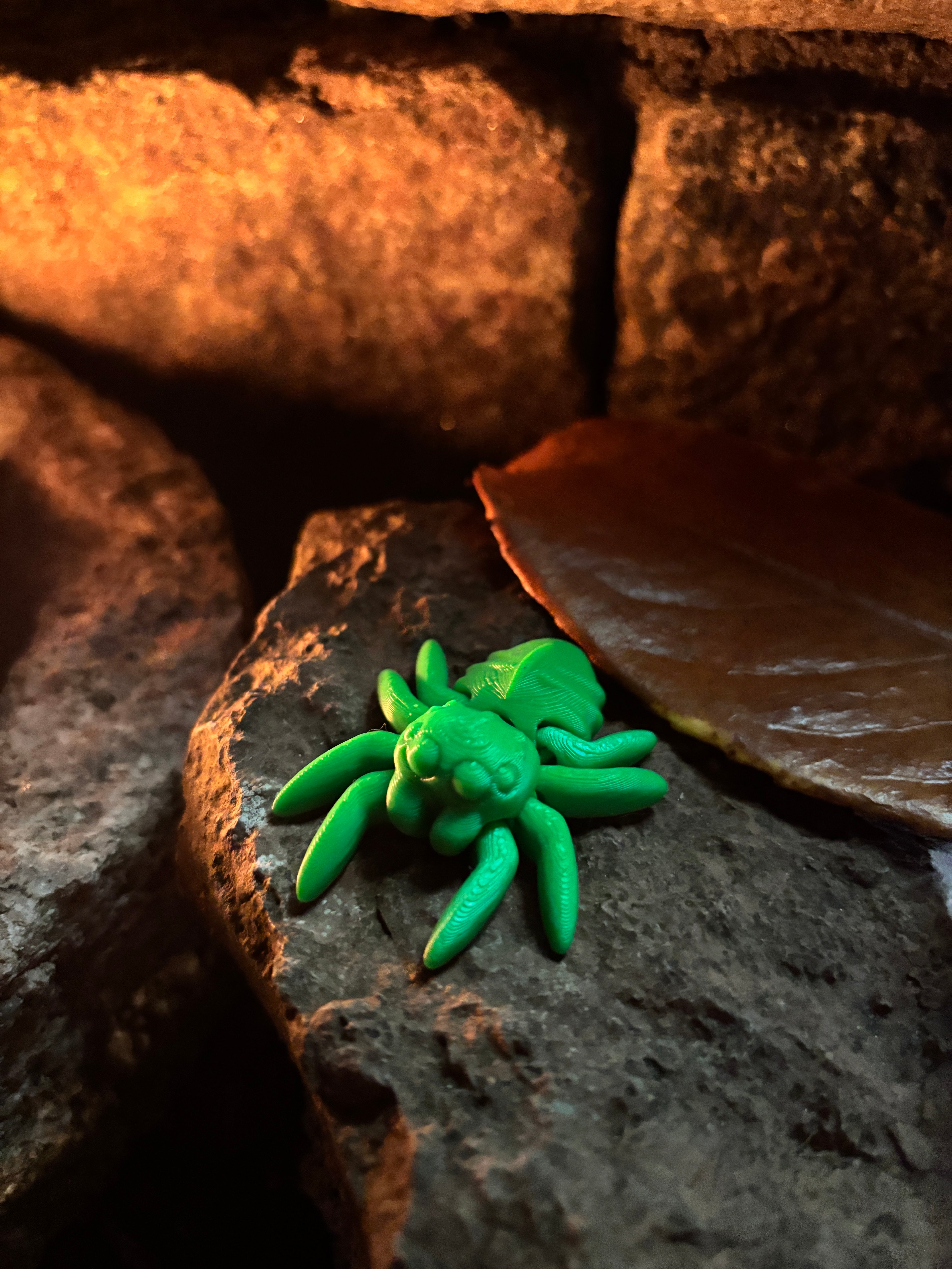 The Trickletide Spindle-Spiders – the secret keepers of the pumpkin patch