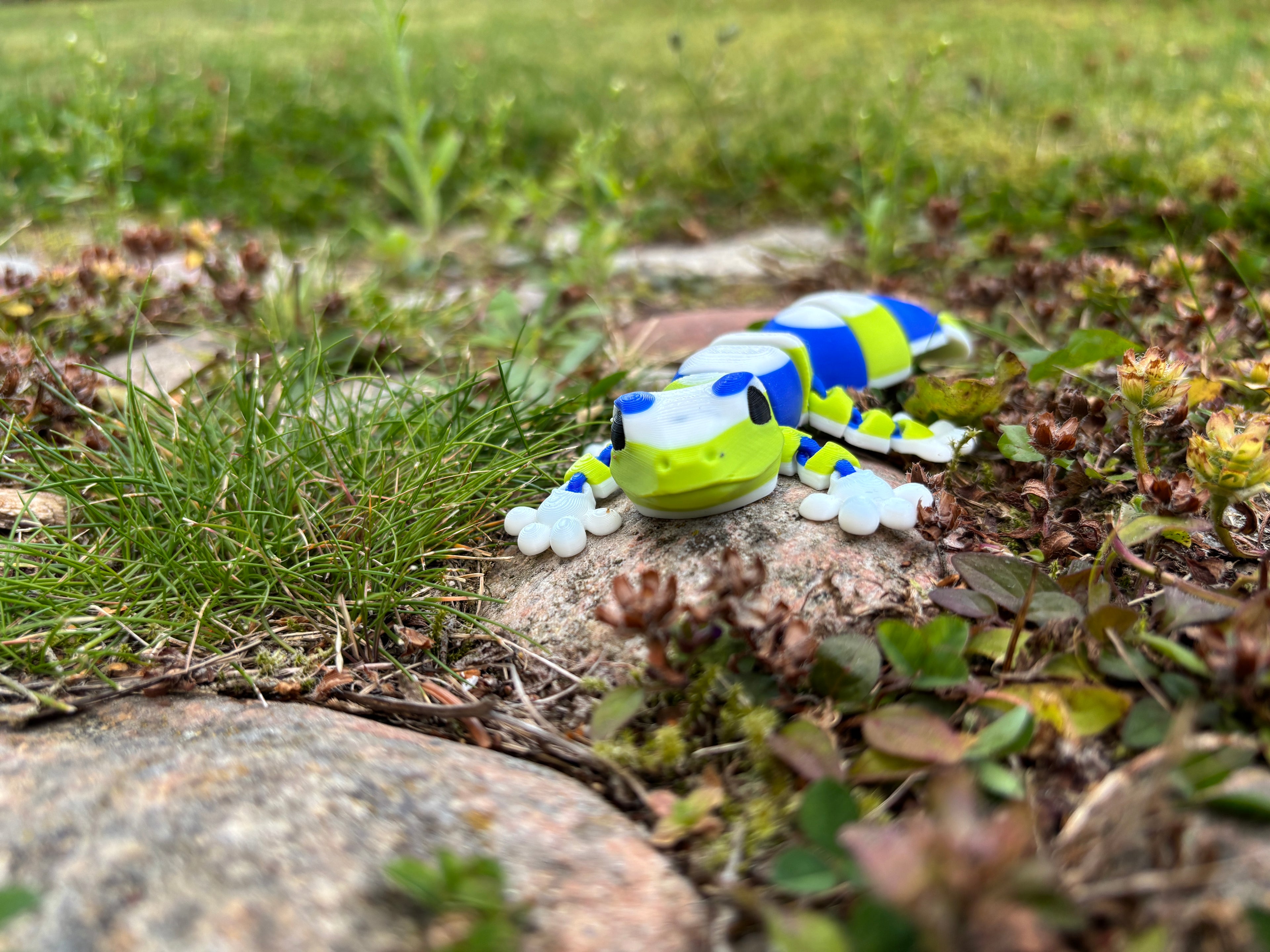 Zippy, the Stripe-Tailed Wonder Gecko of Whispering Jungle