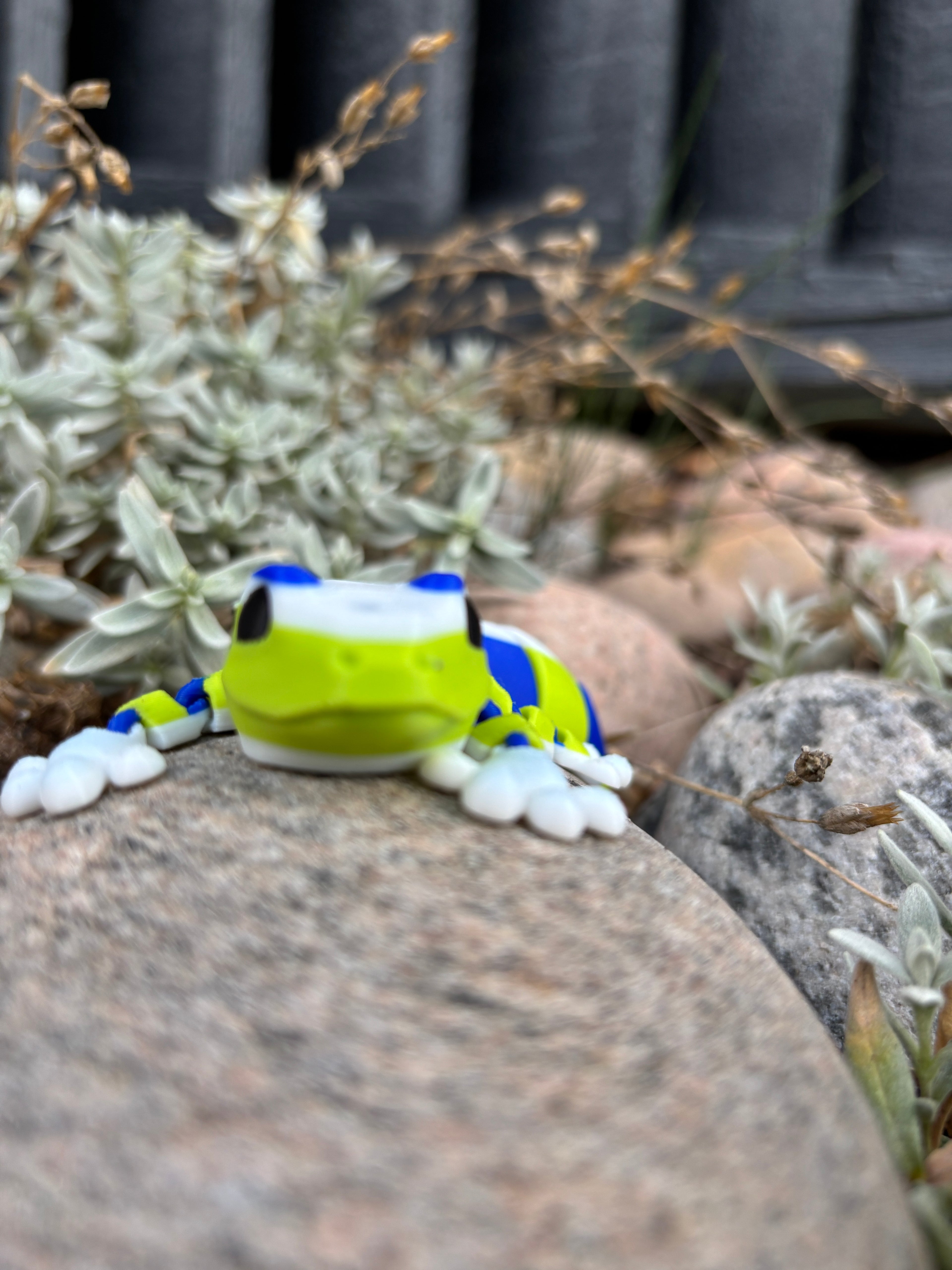 Zippy, the Stripe-Tailed Wonder Gecko of Whispering Jungle