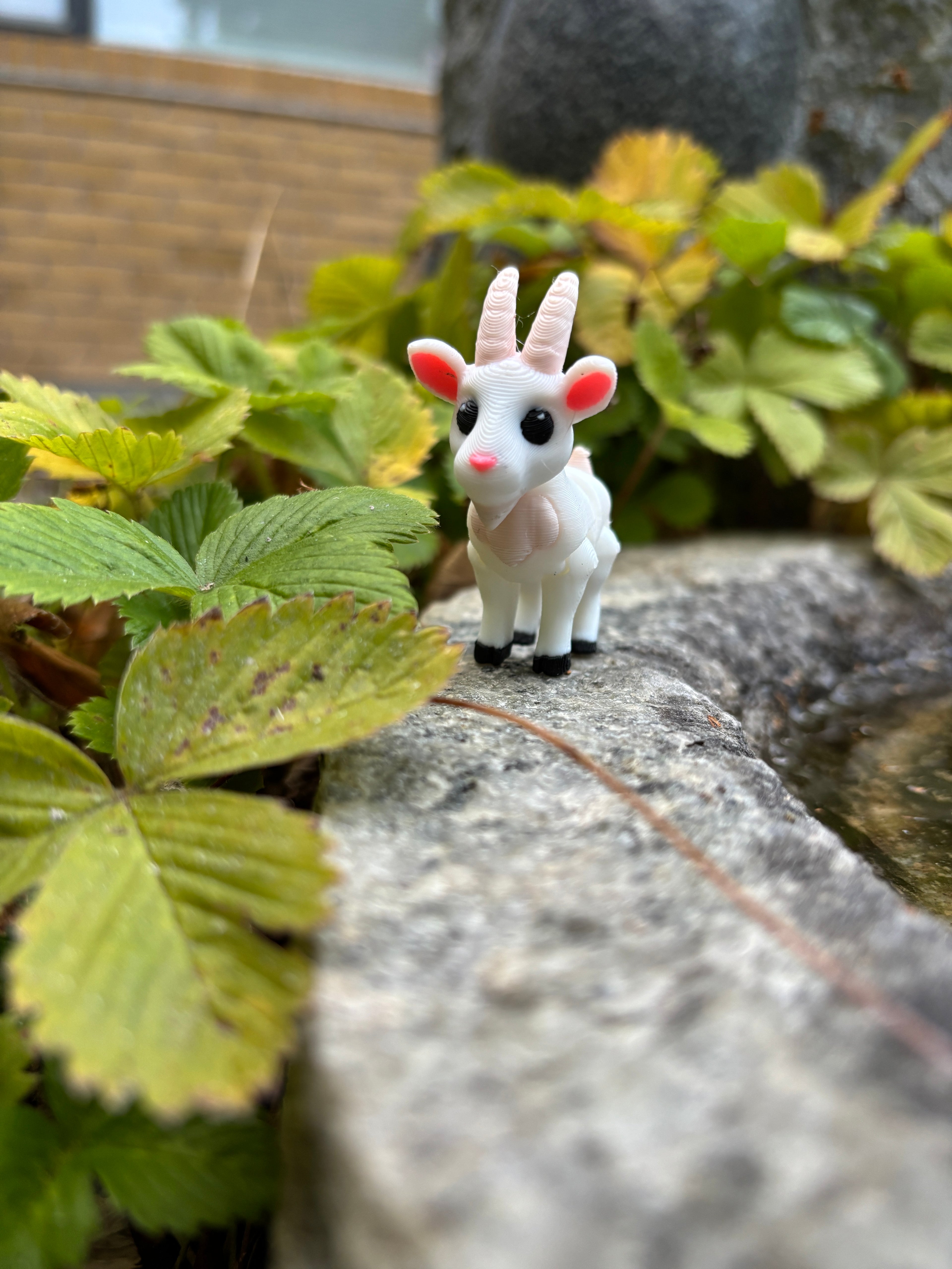 Gideon, the Giggling Mountain Kid of Meadowbrook