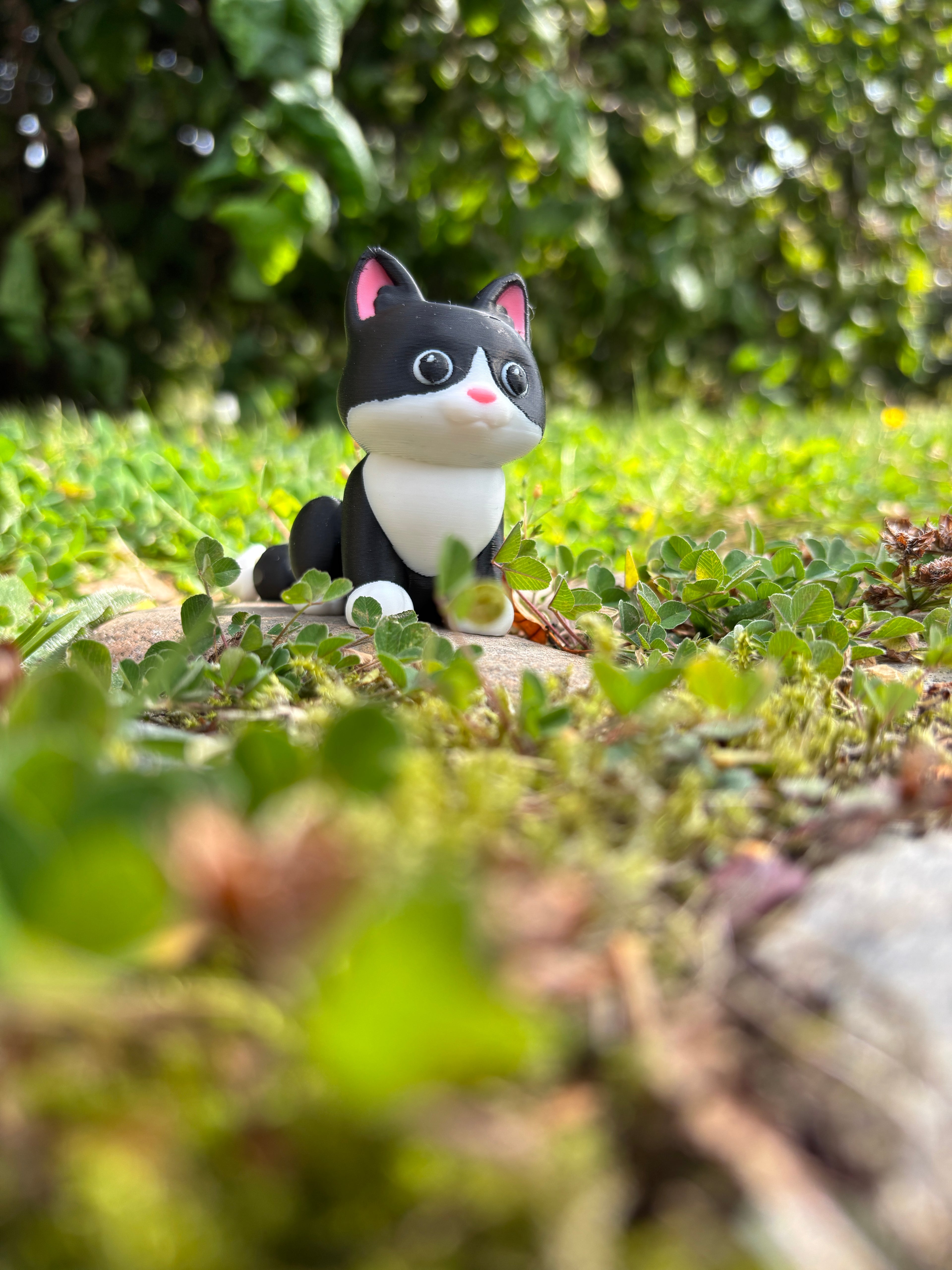 Mittens, the Midnight Library Cat of Whimsey’s Window