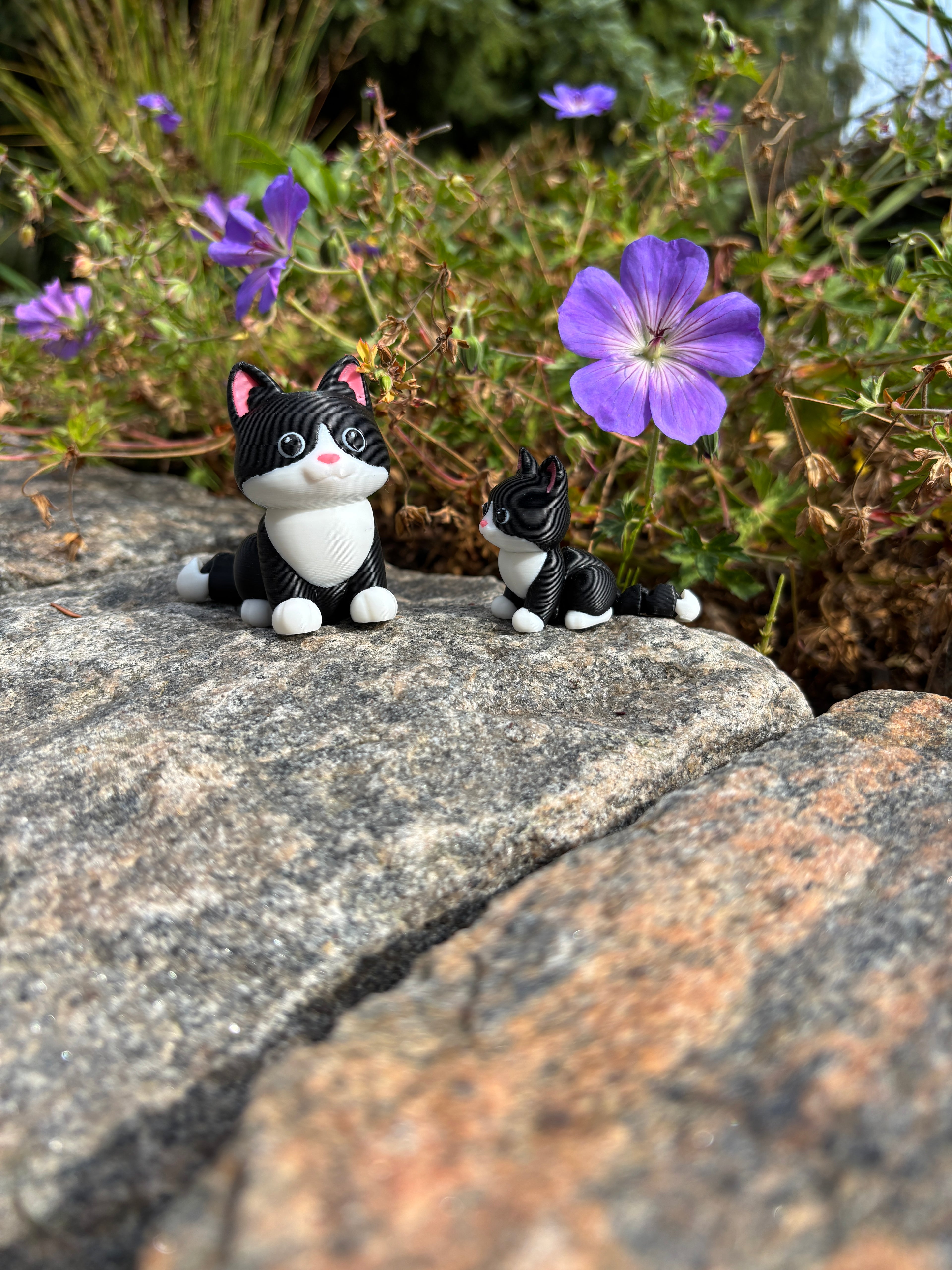 Mittens, the Midnight Library Cat of Whimsey’s Window