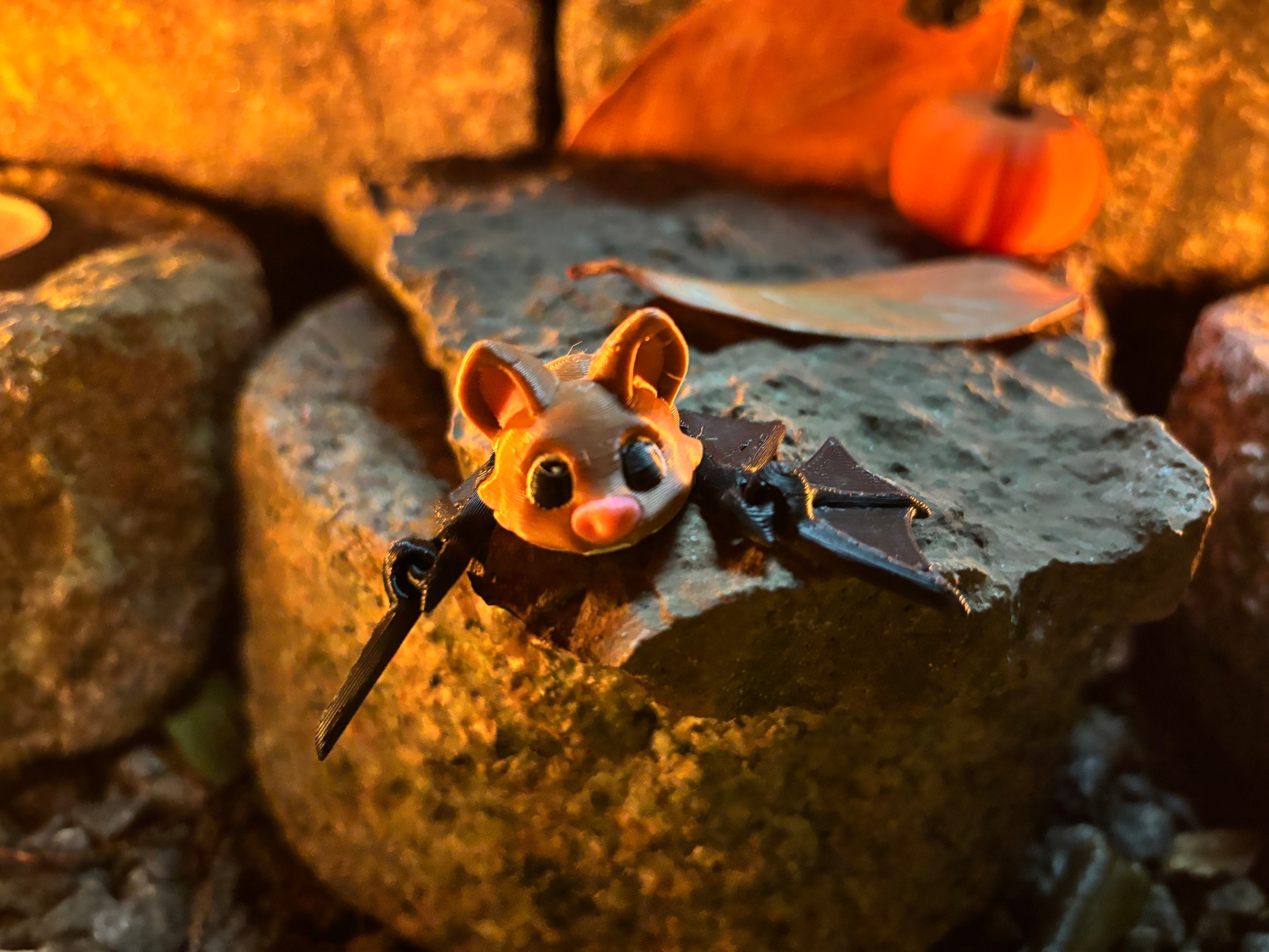 Pipsqueak Midnight (nicknamed “Pip” for friends)