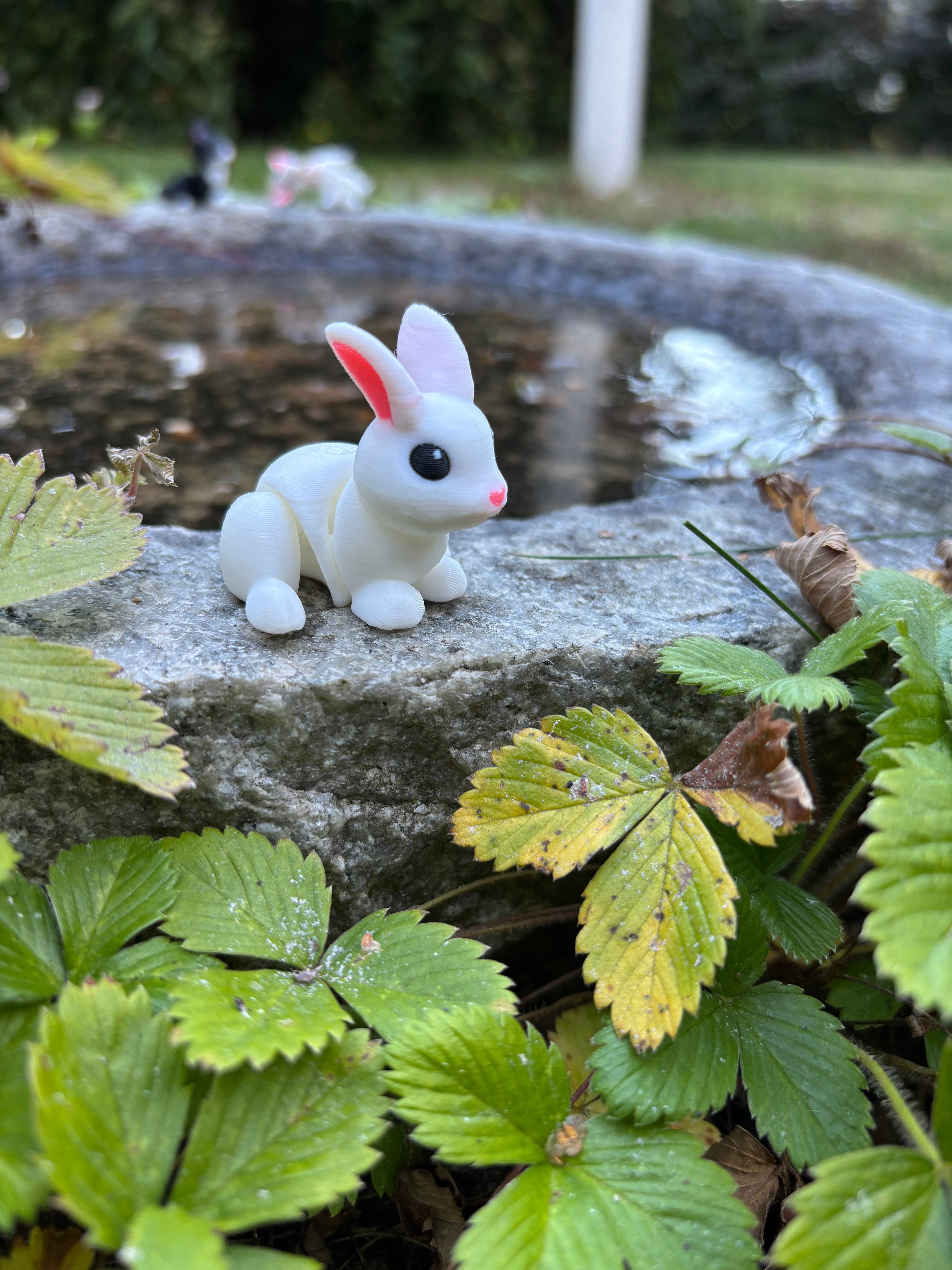 Thistle, the Moonbeam Bunny of the Magical Farm