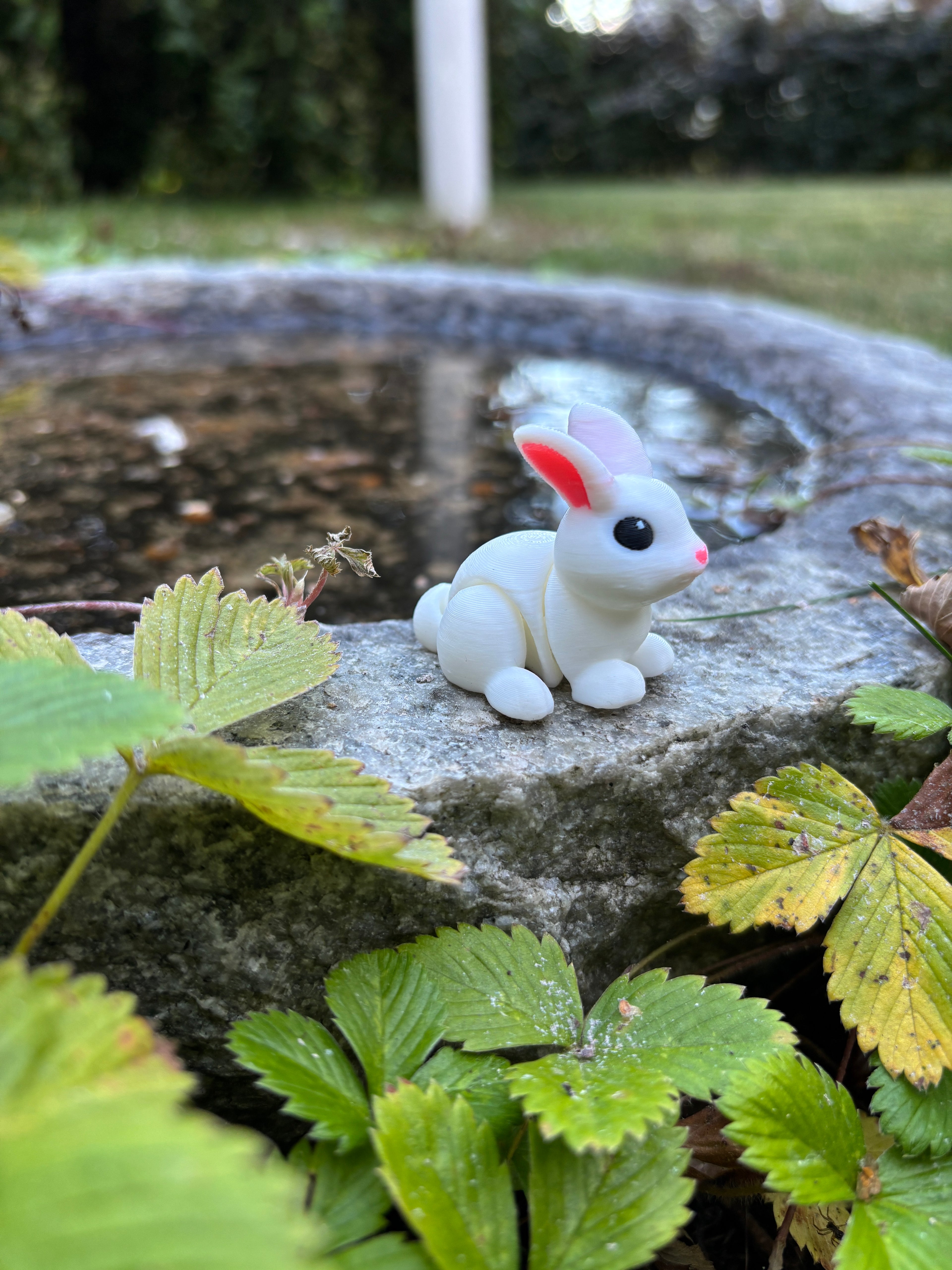 Thistle, the Moonbeam Bunny of the Magical Farm