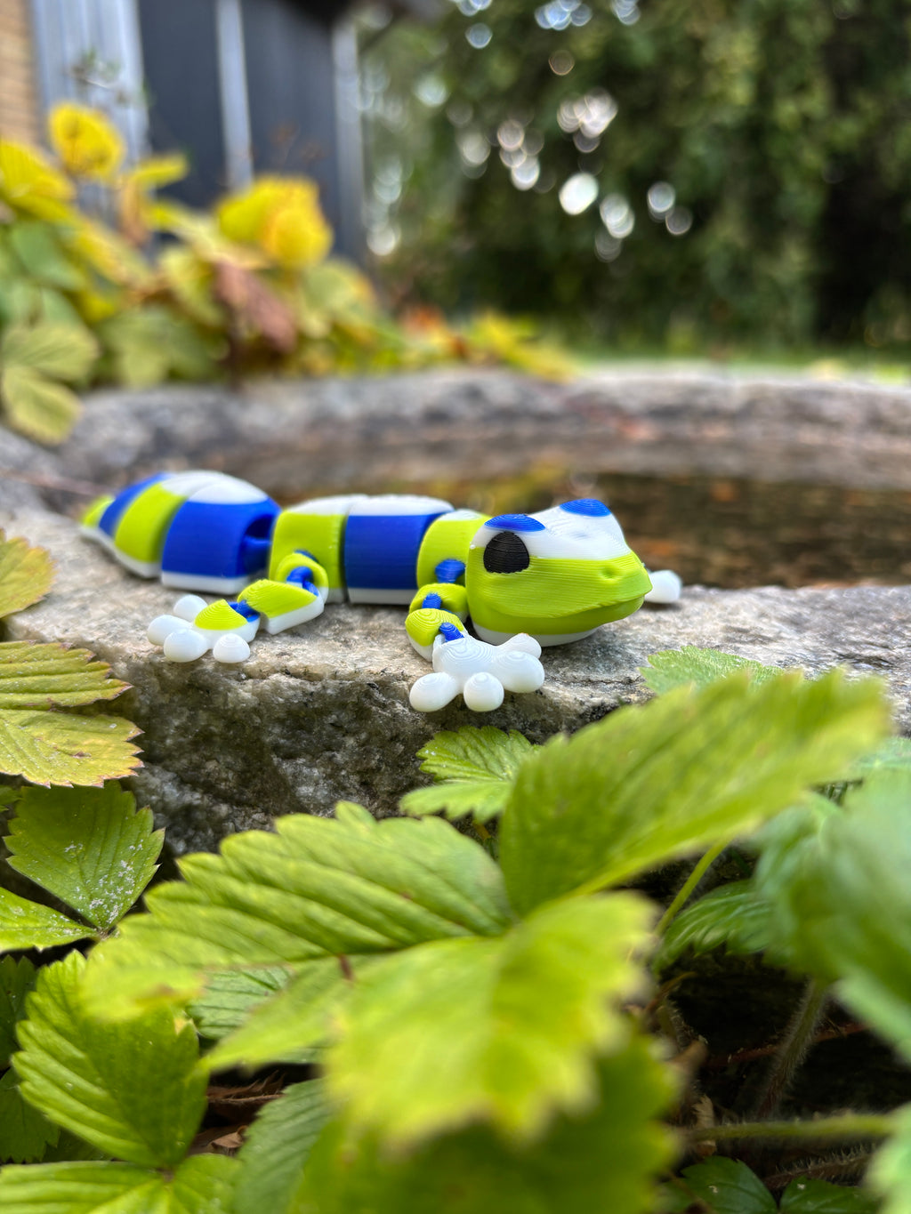 Welcome to Whimsey & Whiley’s Early Christmas Gift!