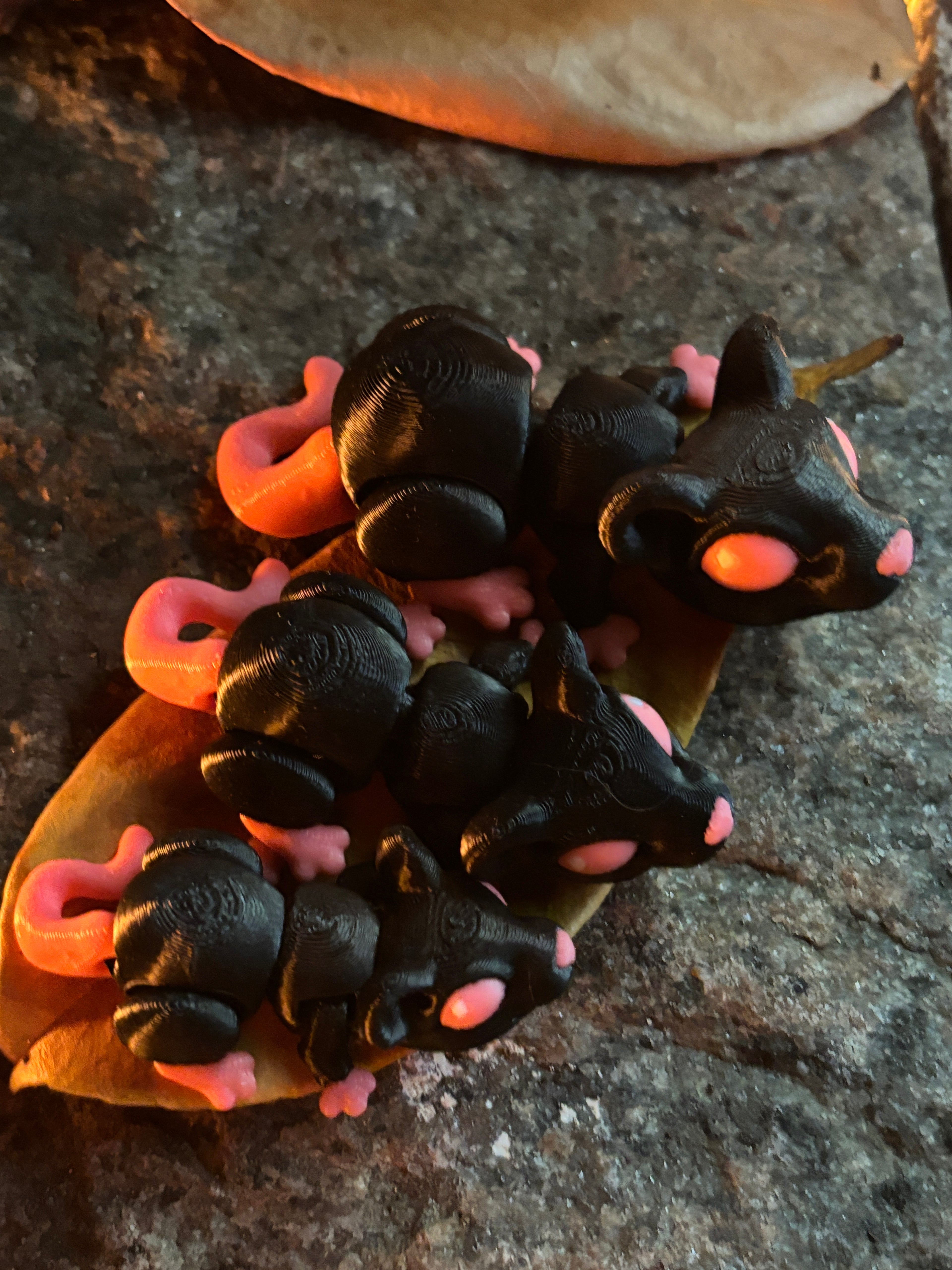 Cinderwick the Lantern Rat