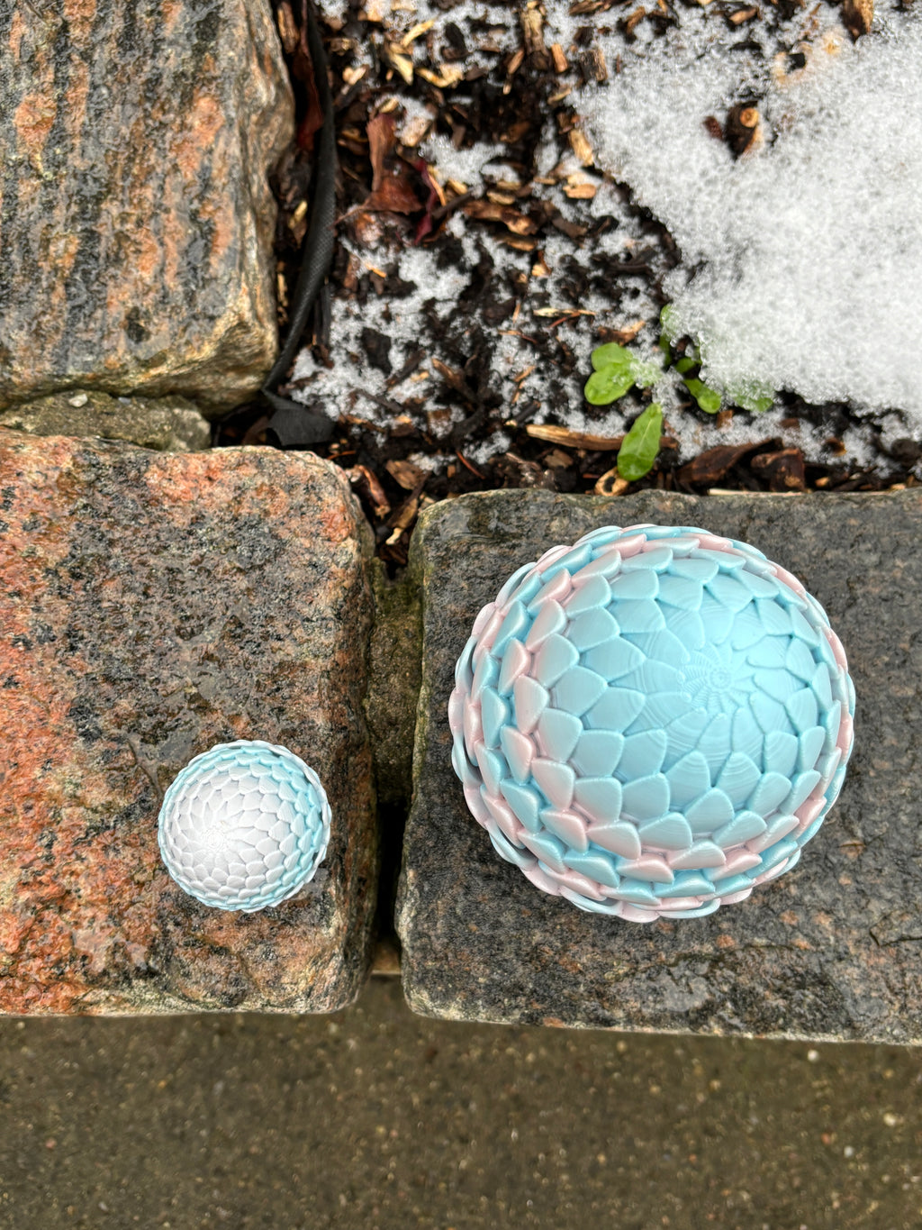 Misty Tower’s Drakescale l The Dreaming Dragon Egg