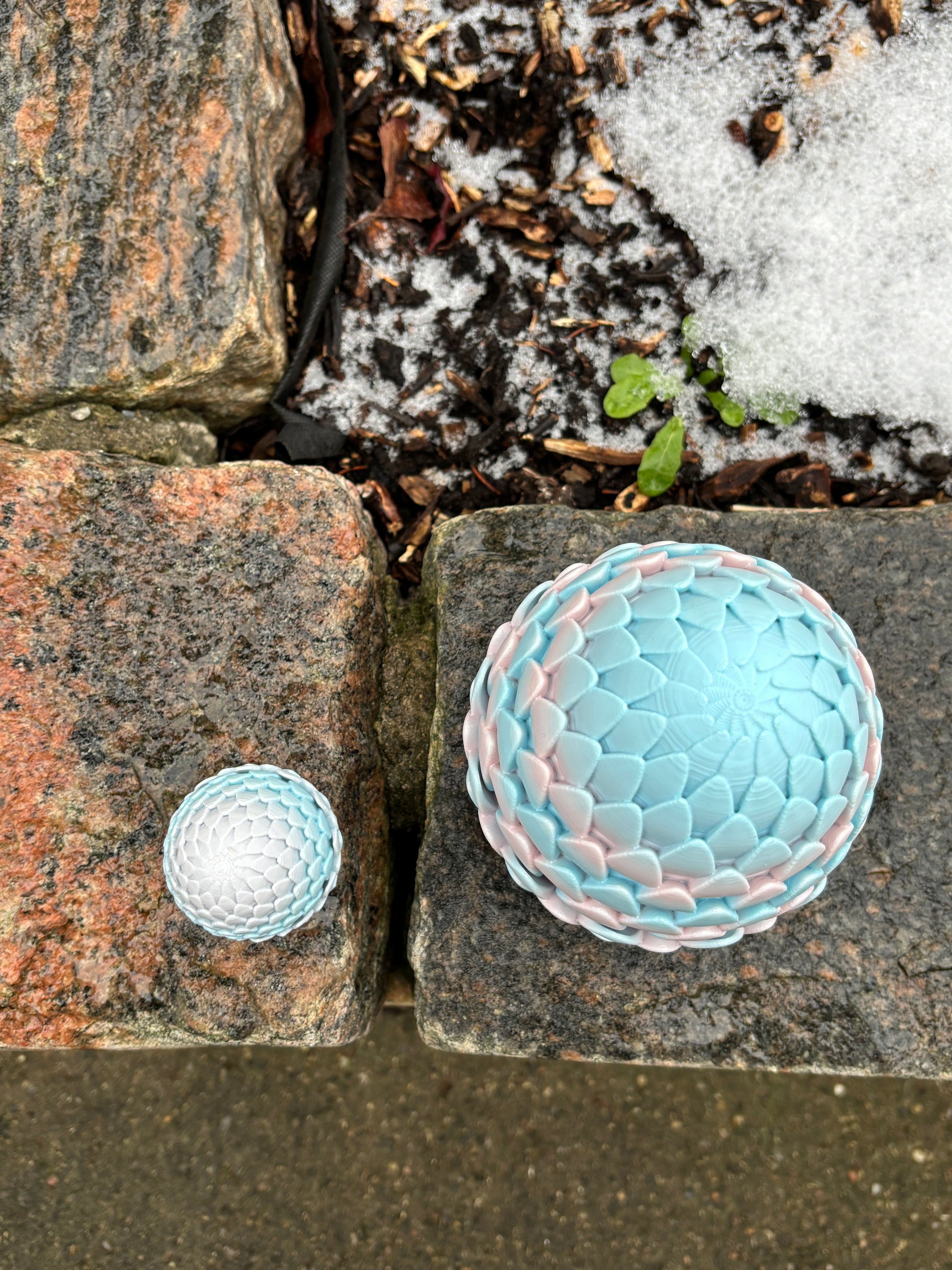 Misty Tower’s Drakescale l The Dreaming Dragon Egg