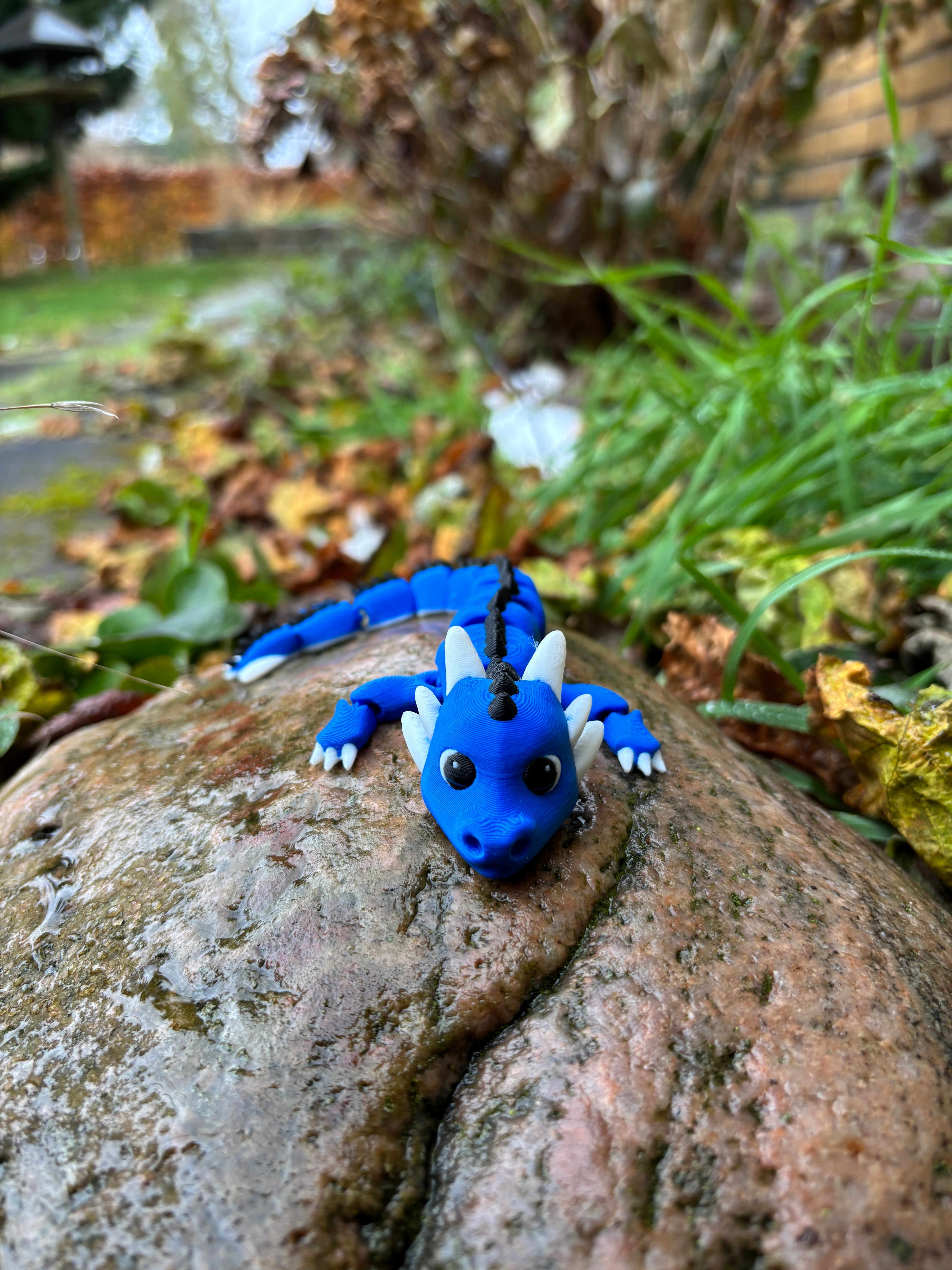 Elemental Dragonlings of Misty Tower - Bubblenook, Cinderpip, Twiluna & Sprigbin