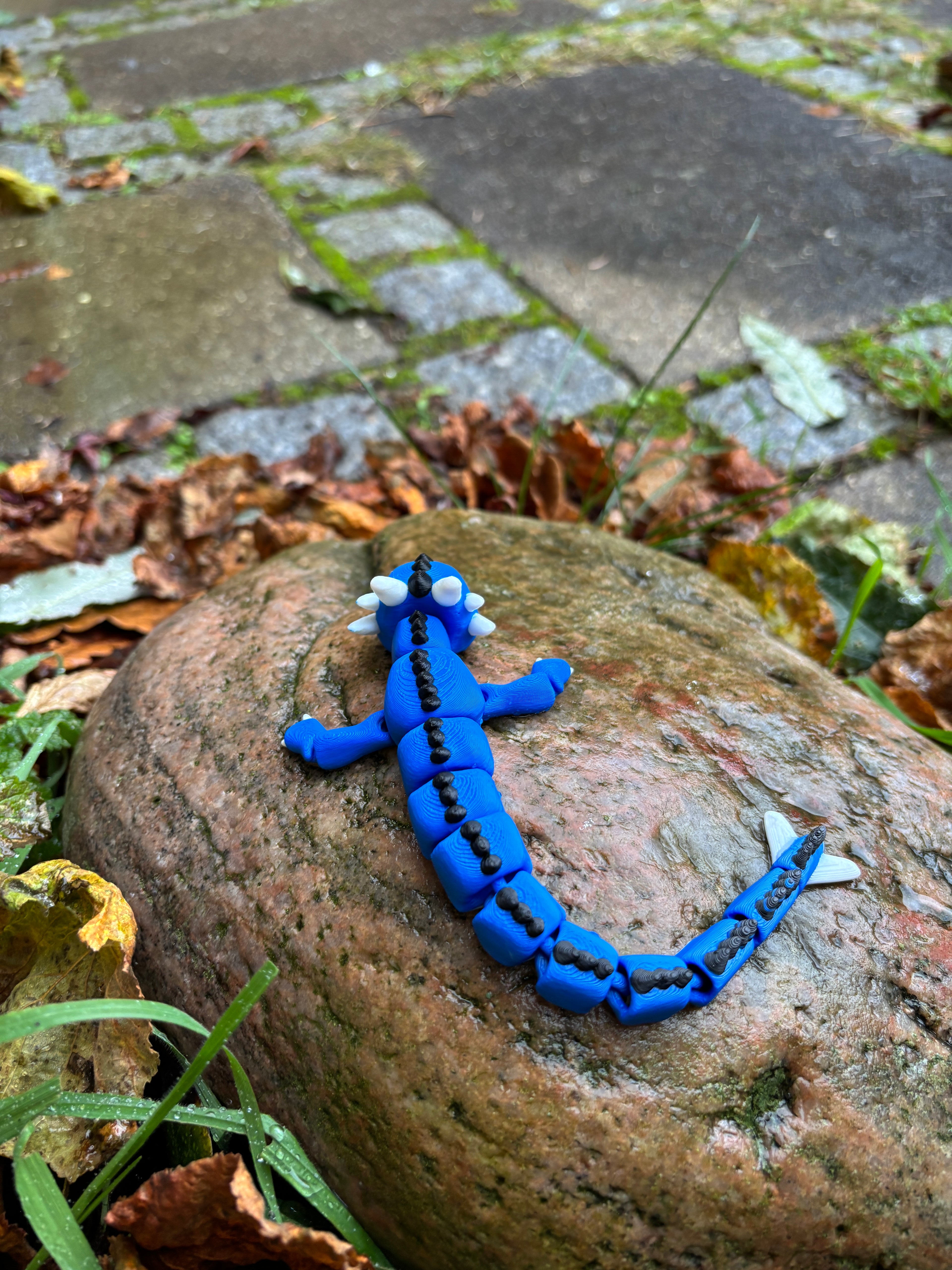 Elemental Dragonlings of Misty Tower - Bubblenook, Cinderpip, Twiluna & Sprigbin