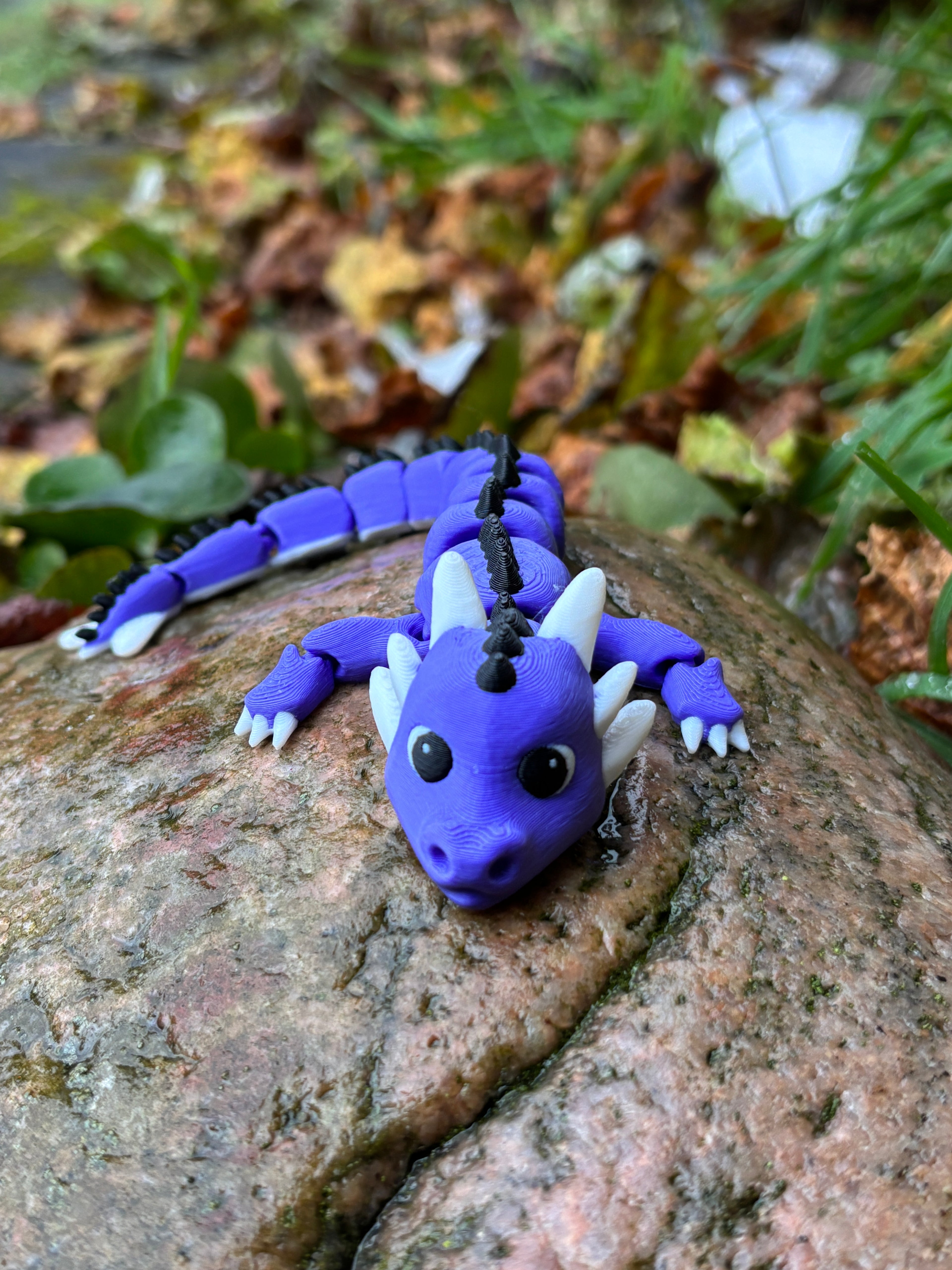 Elemental Dragonlings of Misty Tower - Bubblenook, Cinderpip, Twiluna & Sprigbin