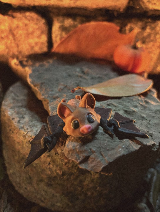 Pipsqueak Midnight (nicknamed “Pip” for friends)